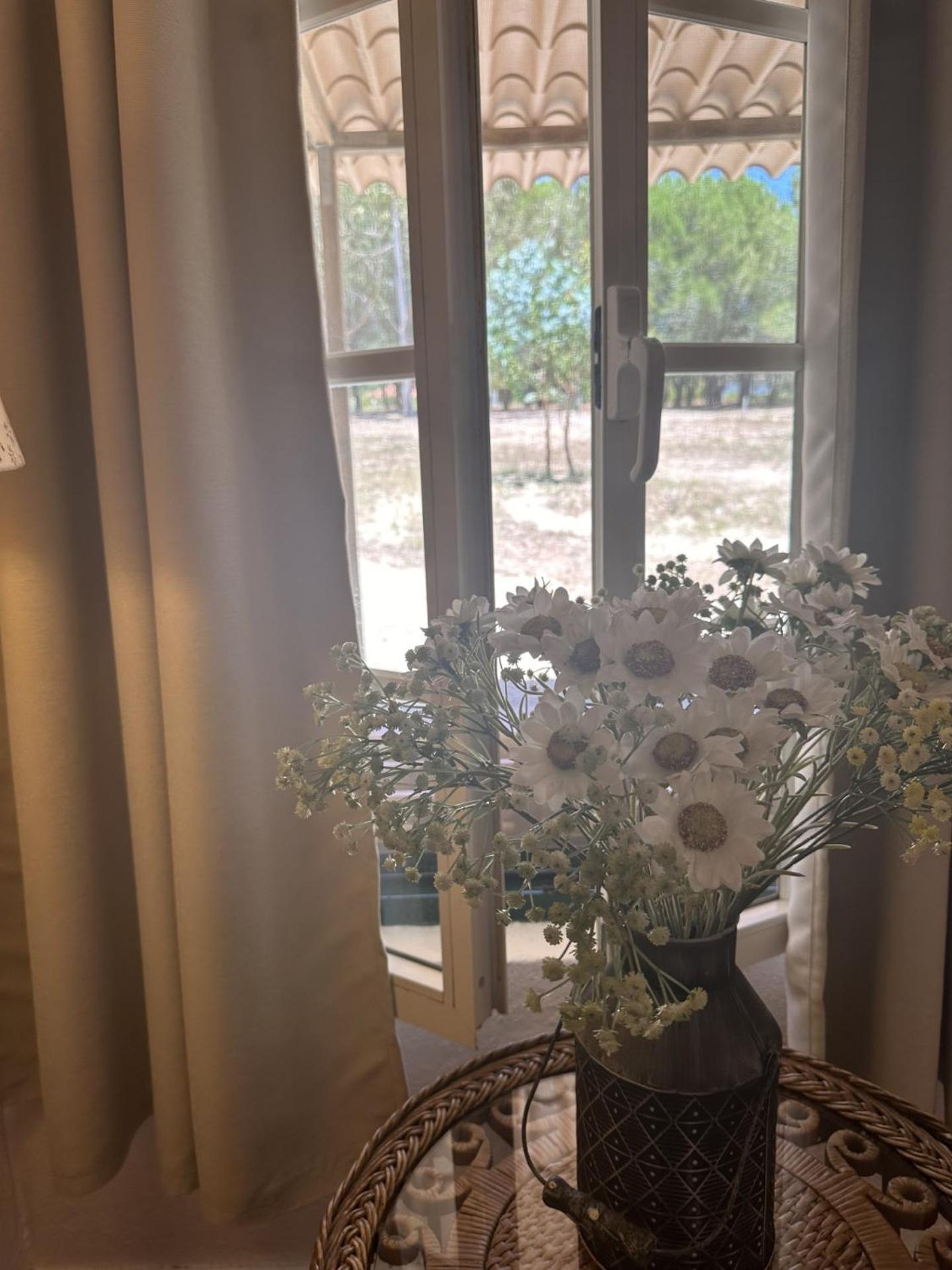 Monte Da Tojeirinha Guest House Montargil Luaran gambar