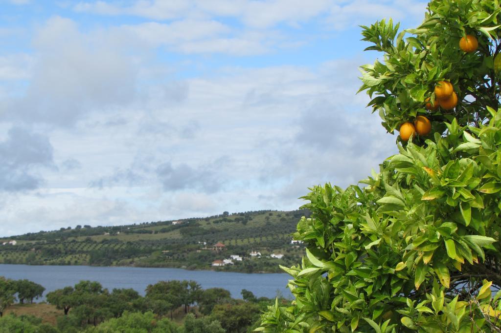 Monte Da Tojeirinha Guest House Montargil Luaran gambar