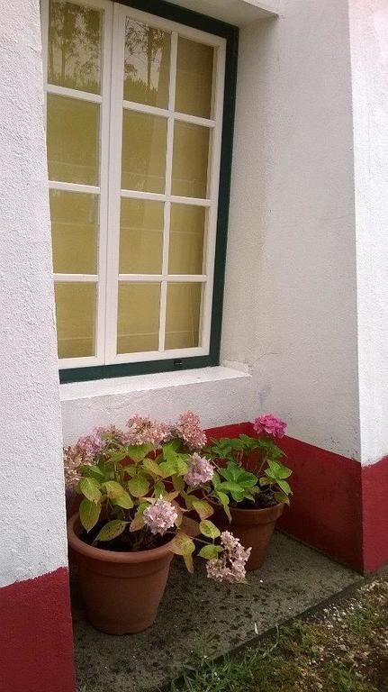 Monte Da Tojeirinha Guest House Montargil Luaran gambar
